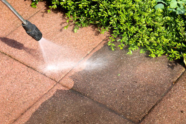 Best Commercial Building Pressure Washing  in Pioche, NV